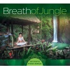  Lucyan - Breath Of Jungle - Relaxing India Spirit 