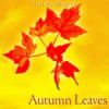 NOX - Autumn Leaves