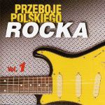 RÓŻNI WYKONAWCY - Przeboje Polskiego Rocka vol.1